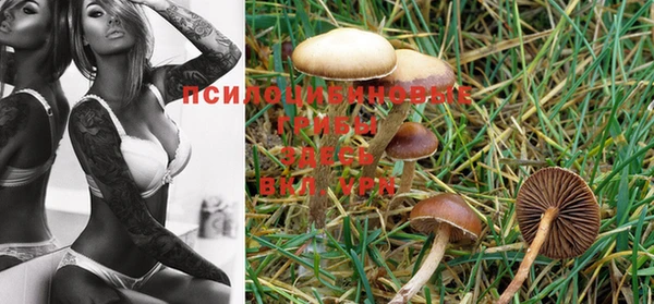 MDMA Premium VHQ Покачи